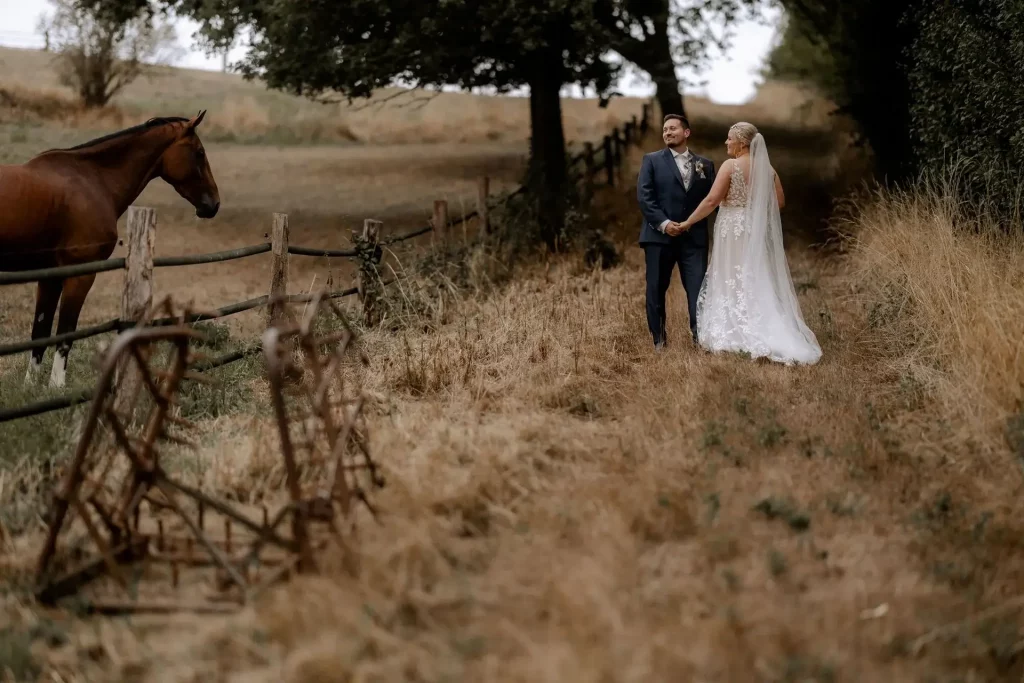 Hochzeitspaar in festlicher Kleidung mit einem Pferd auf dem Feld